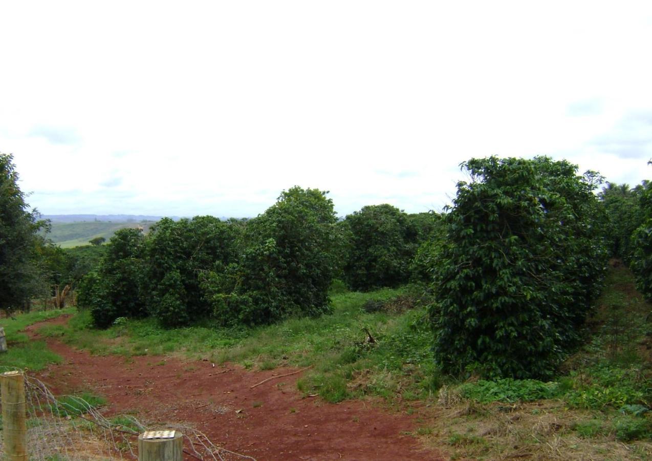 Sitio Sao Benedito Sao Roque de Minas Ngoại thất bức ảnh