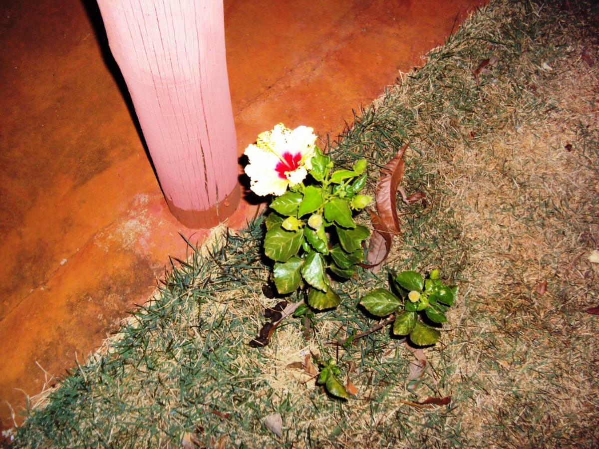 Sitio Sao Benedito Sao Roque de Minas Ngoại thất bức ảnh